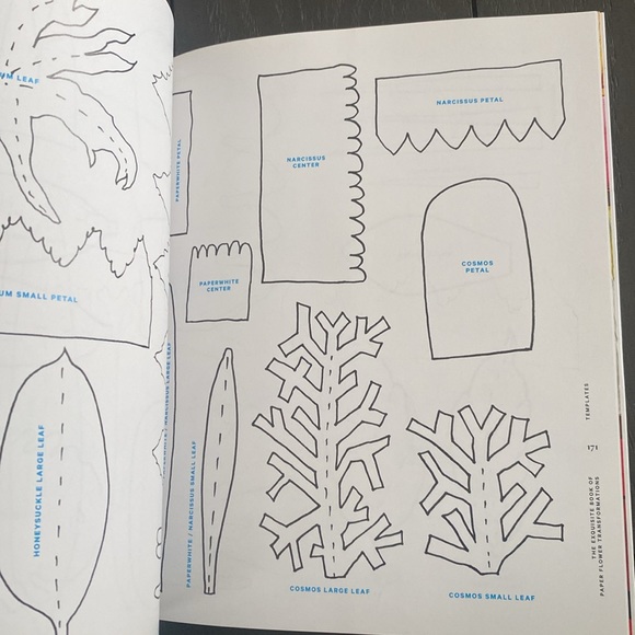 The exquisite book of paper flower transformations by artist Livia Cetti - Picture 9 of 9